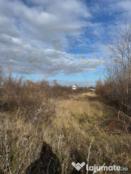 Teren intravilan Bananai - 2939 mp