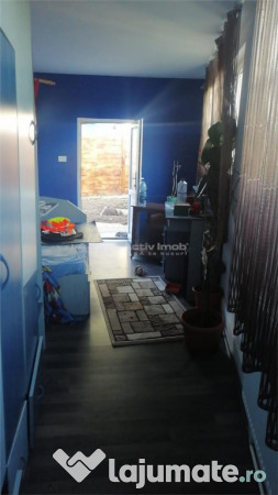 5 cam - Sanicolau - Mic 