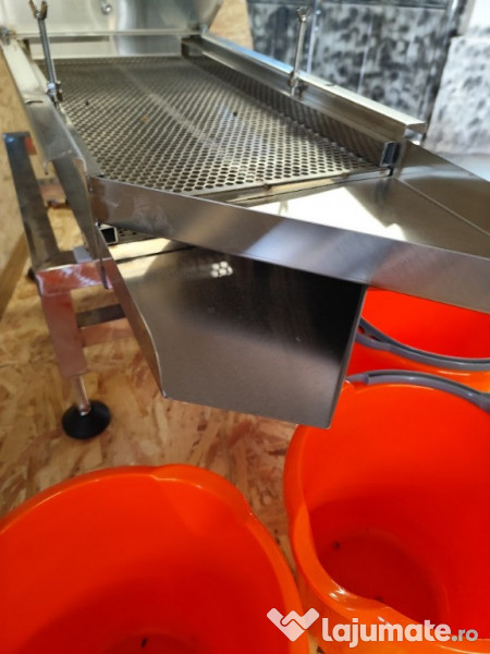 Selector seminte de floarea soarelui 220V 