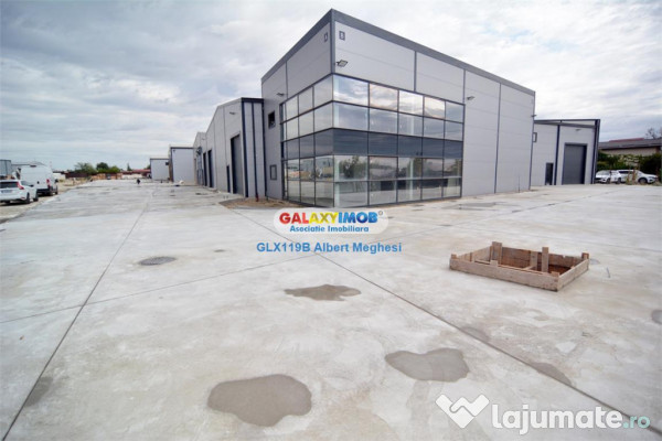 Hale Industriale Centura Rudeni Chitila Centura 415 mp/978 m 