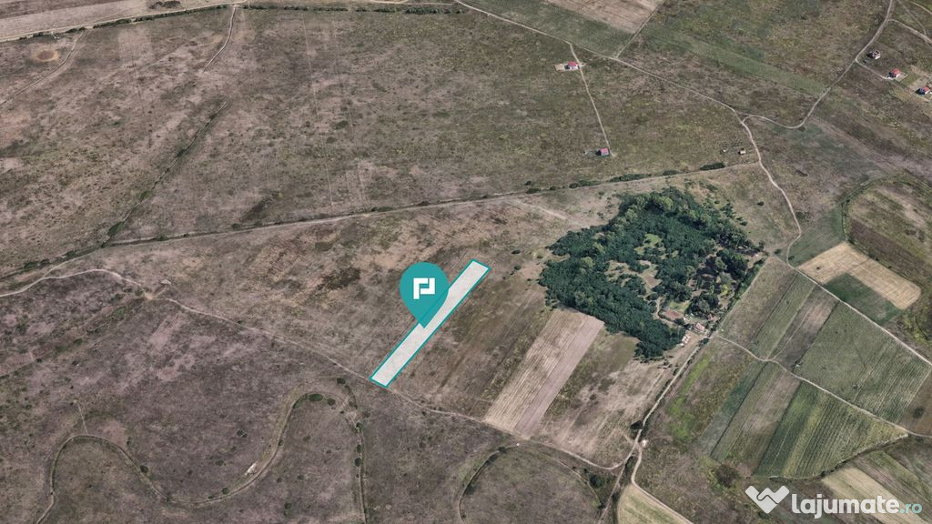 Investiție cu potențial ridicat, teren 10.000 mp