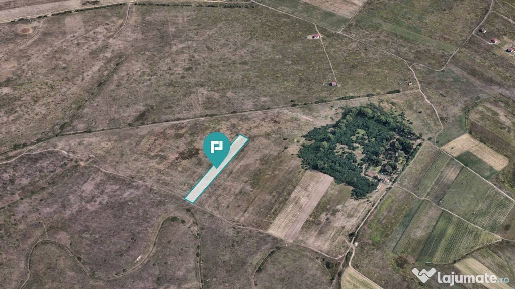 Investiție cu potențial ridicat, teren 10.000 mp