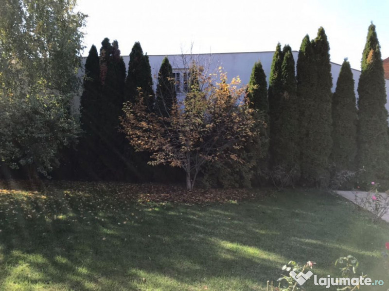 Vila Pipera D+P+1+M, 2004