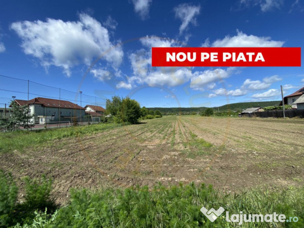 Teren intravilan 7.295 mp – Argeselu, Maracineni, AG 