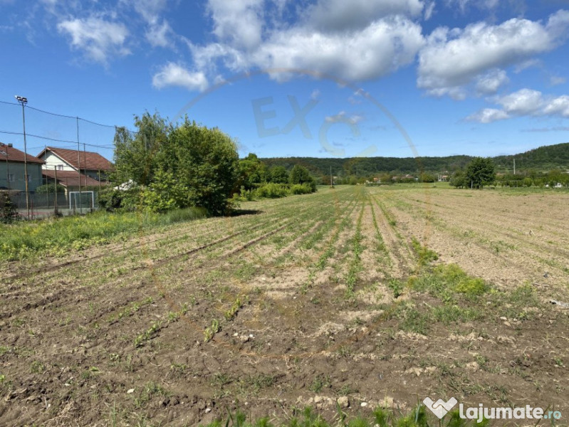 Teren intravilan 7.295 mp – Argeselu, Maracineni, AG 