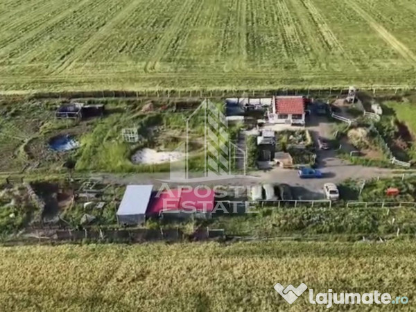 Farmhouse la 14km de Timisoara, teren agricol 1ha