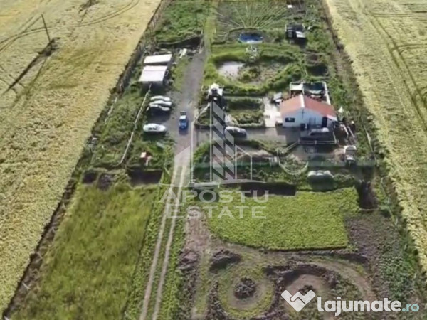 Farmhouse la 14km de Timisoara, teren agricol 1ha