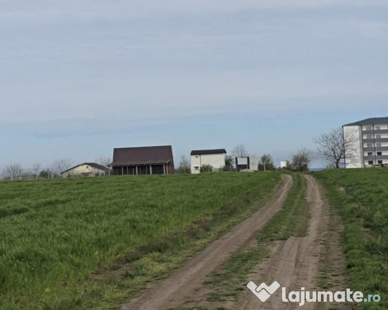 Vanzari terenuri in Agigea zona Steaua de Mare cu PUZ 