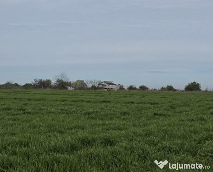 Vanzari terenuri in Agigea zona Steaua de Mare cu PUZ 