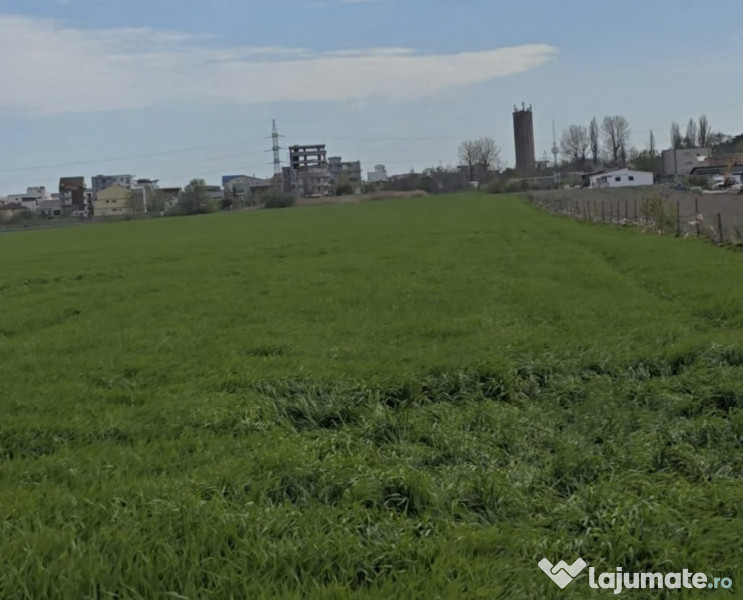 Vanzari terenuri in Agigea zona Steaua de Mare cu PUZ 