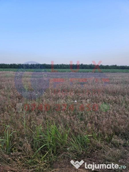 ID 7847 Teren INTRAVILAN pentru casă in Sat MINERI 