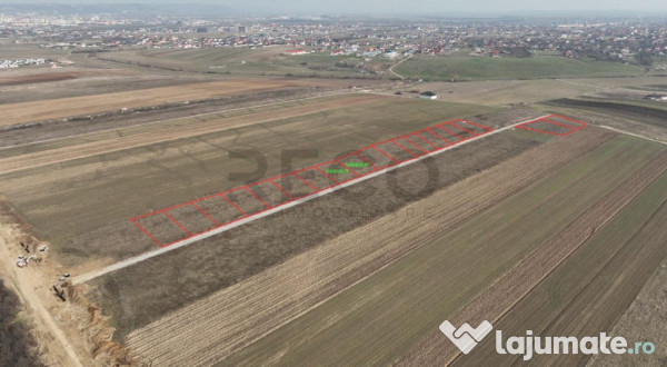 RECO Teren intravilan Cihei Sanmartin 