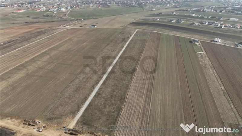 RECO Teren intravilan Cihei Sanmartin 