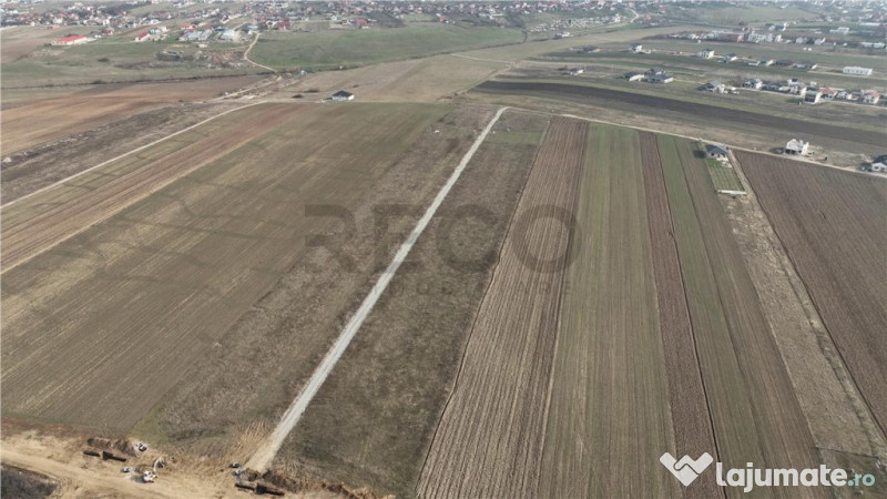 RECO Teren intravilan Cihei Sanmartin 