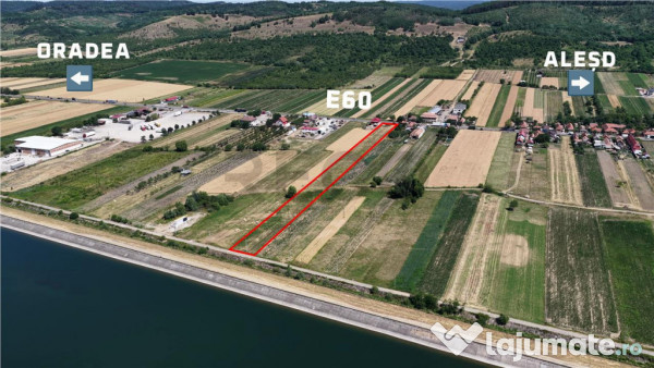 RECO Teren intravilan 6890mp in Urvind 