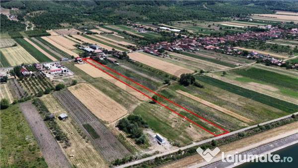 RECO Teren intravilan 6890mp in Urvind 