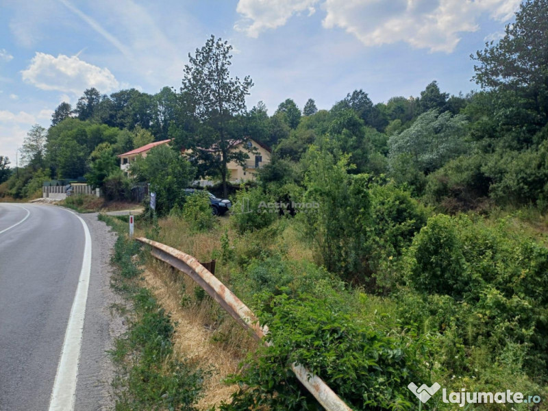 Resita, Terenuri Intravilane 2000 Mp., 28 Euro/Mp., Calea Ca 