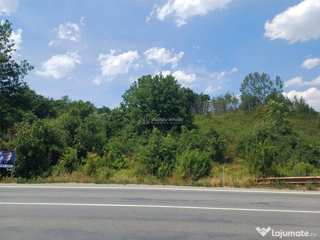 Resita, Terenuri Intravilane 2000 Mp., 28 Euro/Mp., Calea Ca 