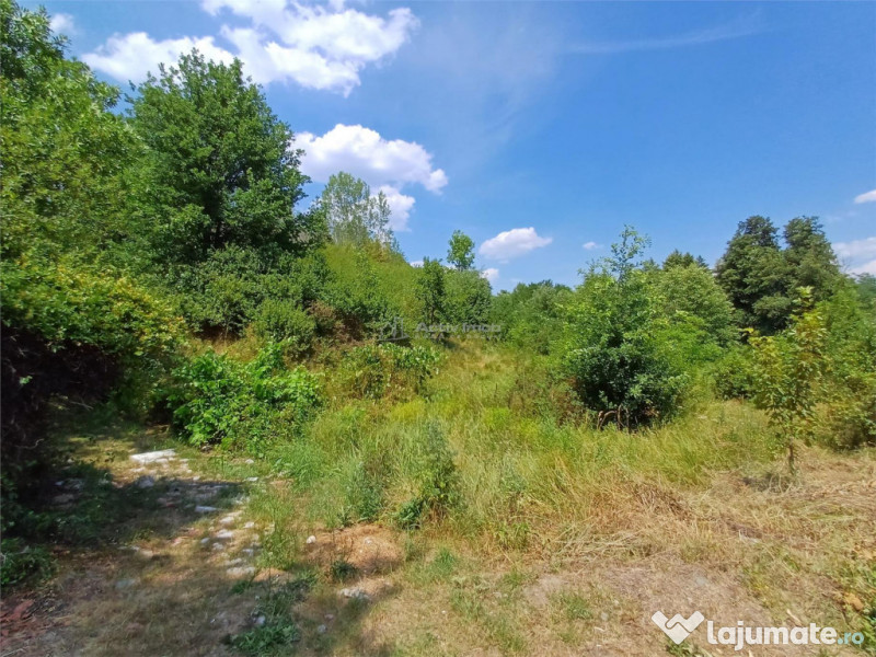 Resita, Terenuri Intravilane 2000 Mp., 28 Euro/Mp., Calea Ca 