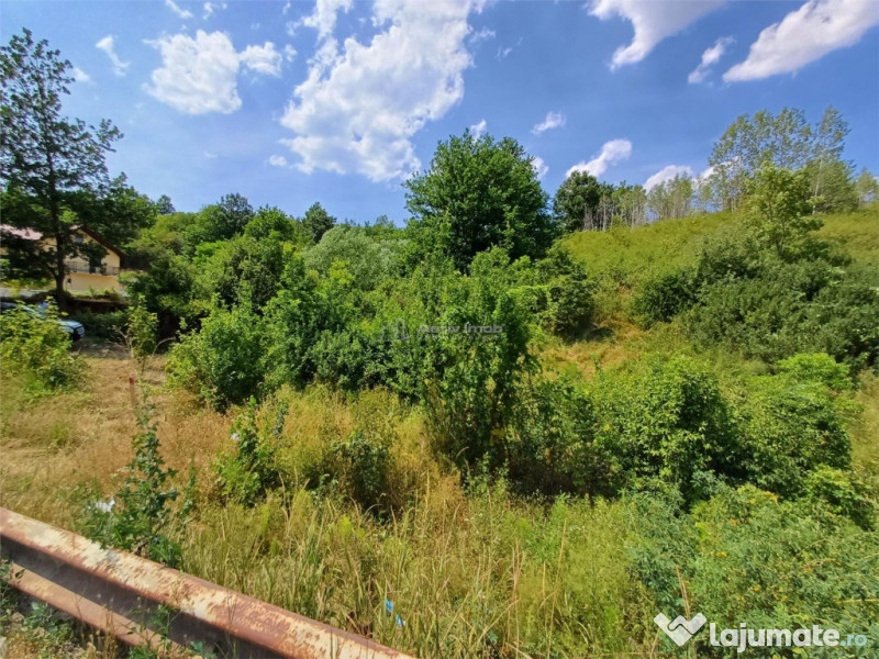 Resita, Terenuri Intravilane 2000 Mp., 28 Euro/Mp., Calea Ca 