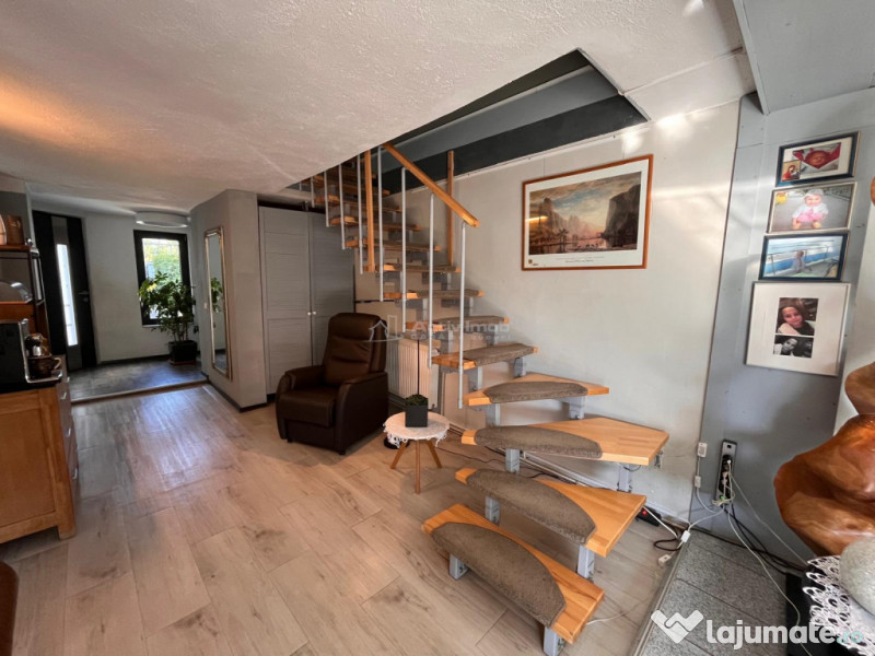 Lugoj, Vila de Vis Cu Piscina, 440 Mp. Construiti, 820 Mp. 