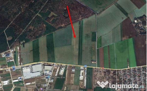 Teren extravilan Branesti, ID: R2649181 