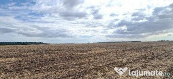 Teren extravilan Branesti, ID: R2649181 