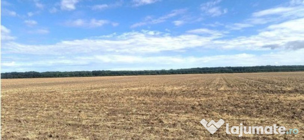 Teren extravilan Branesti, ID: R2649181 