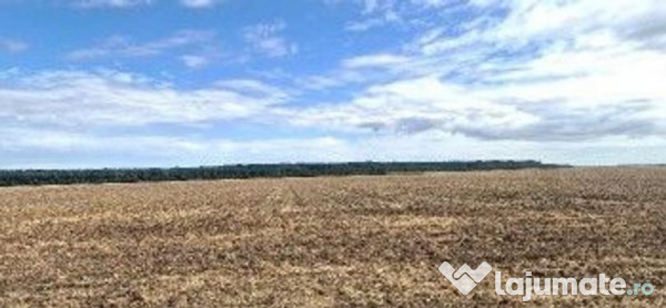 Teren extravilan Branesti, ID: R2649181 