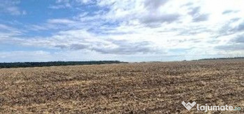 Teren extravilan Branesti, ID: R2649181 