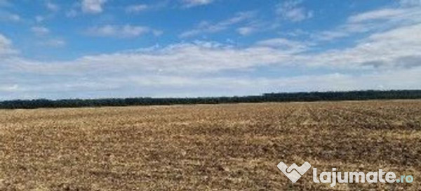 Teren extravilan Branesti, ID: R2649181 