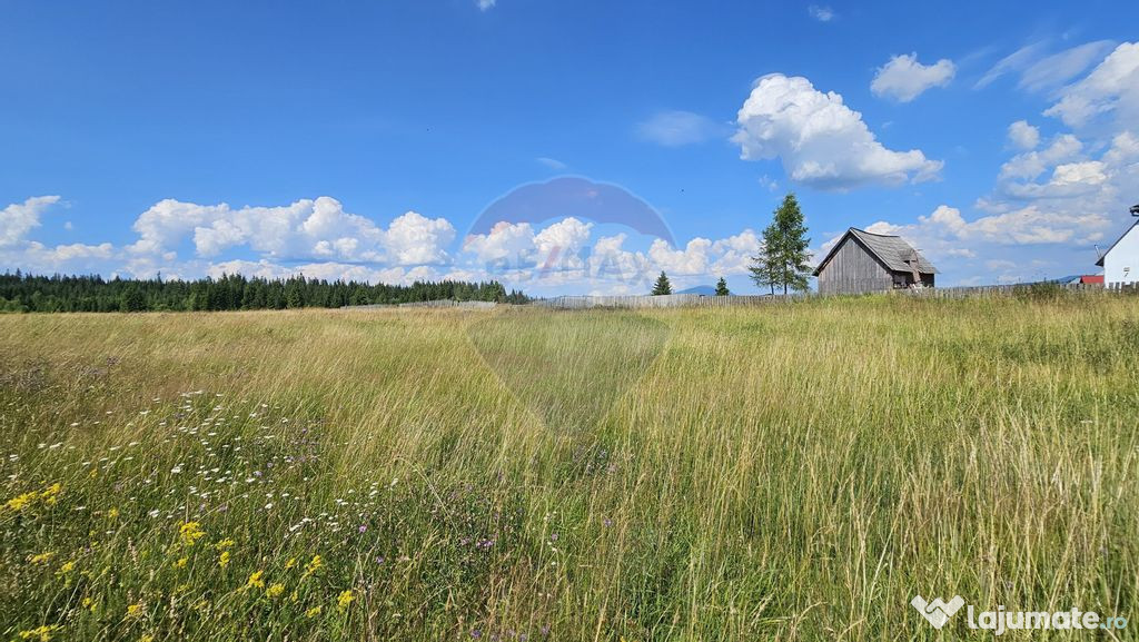 Teren parțial intravilan 30,930 mp Poiana Stampei-DN E58...