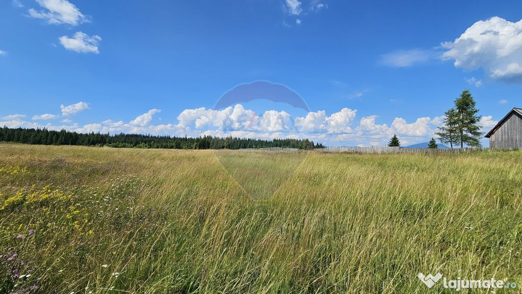 Teren parțial intravilan 30,930 mp Poiana Stampei-DN E58...