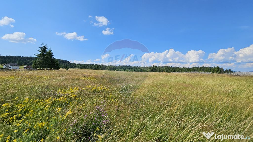 Teren parțial intravilan 30,930 mp Poiana Stampei-DN E58...