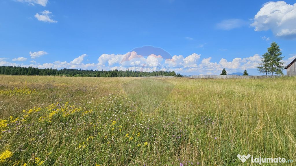 Teren parțial intravilan 30,930 mp Poiana Stampei-DN E58...