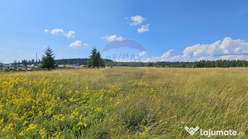 Teren parțial intravilan 30,930 mp Poiana Stampei-DN E58...