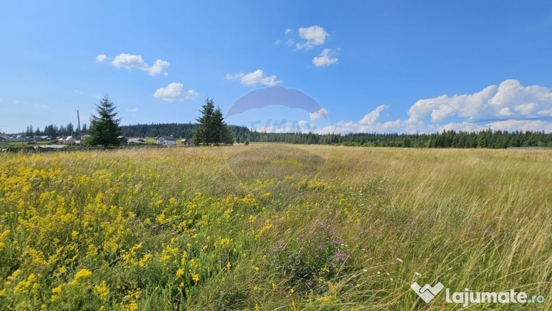 Teren parțial intravilan 30,930 mp Poiana Stampei-DN E58...