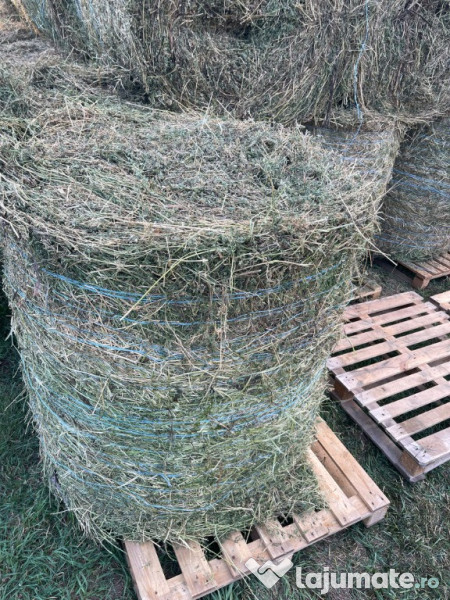 Baloti lucerna in Botosani infoliati (semifân) și fan eco 