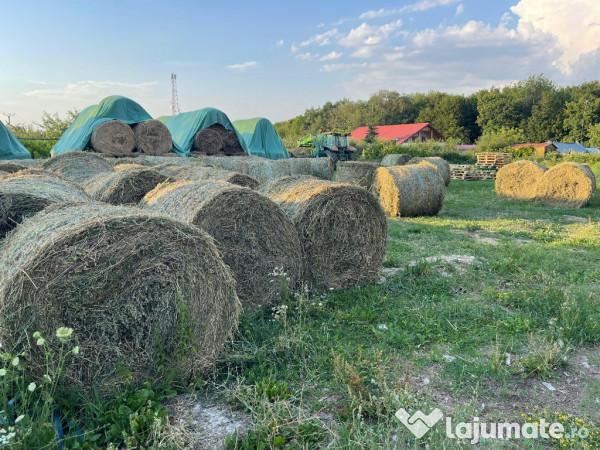 Baloti lucerna in Botosani infoliati (semifân) și fan eco 