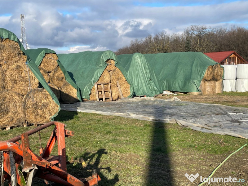 Baloti lucerna in Botosani infoliati (semifân) și fan eco 