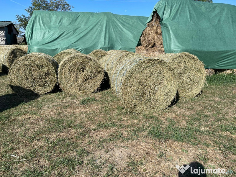 Baloti lucerna in Botosani infoliati (semifân) și fan eco 
