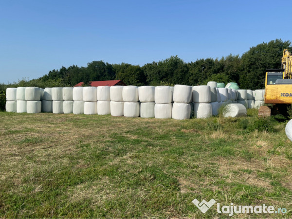 Baloti lucerna in Botosani infoliati (semifân) și fan eco 