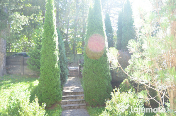 Vila de vacanta situata in Predeal-Cioplea 