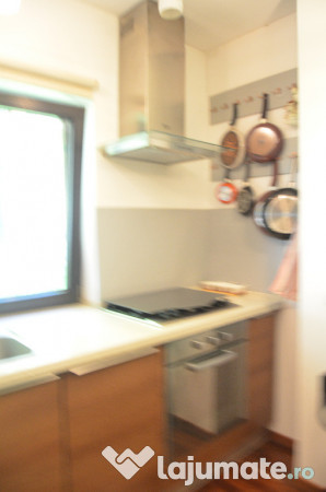 Vila de vacanta situata in Predeal-Cioplea 