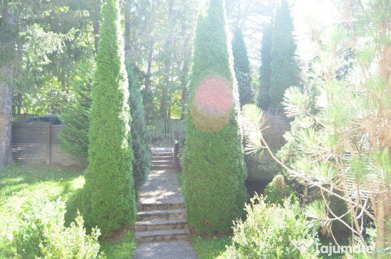 Vila de vacanta situata in Predeal-Cioplea 