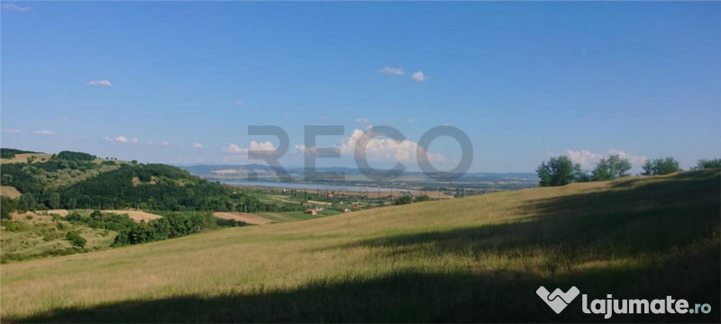 Reco Teren extravilan Tileagd 