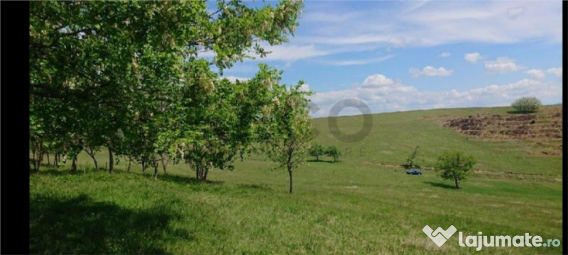 Reco Teren extravilan Tileagd 