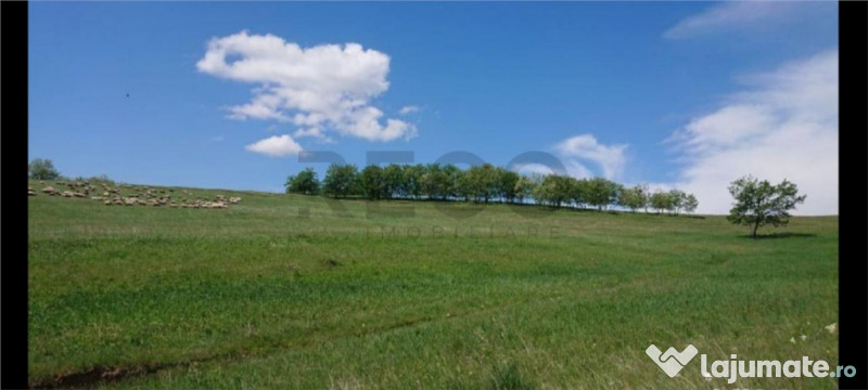 Reco Teren extravilan Tileagd 