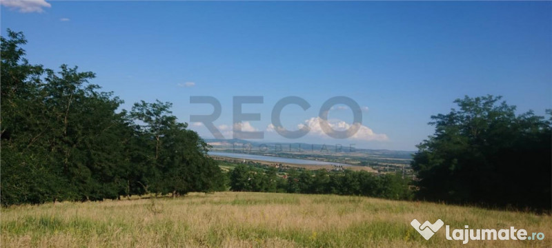 Reco Teren extravilan Tileagd 