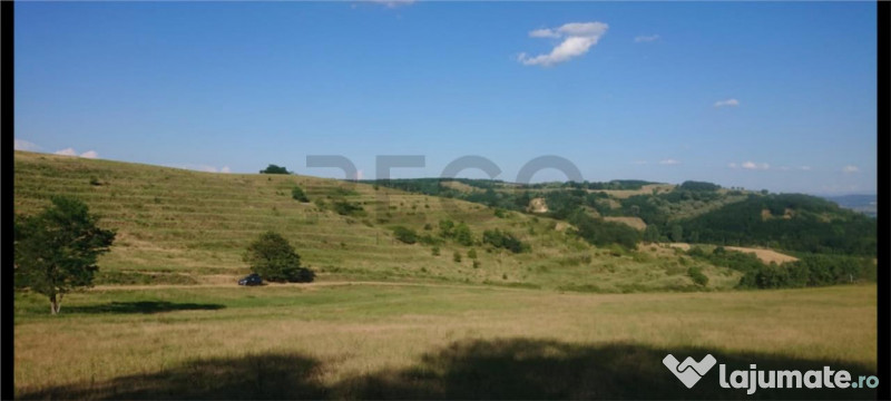 Reco Teren extravilan Tileagd 